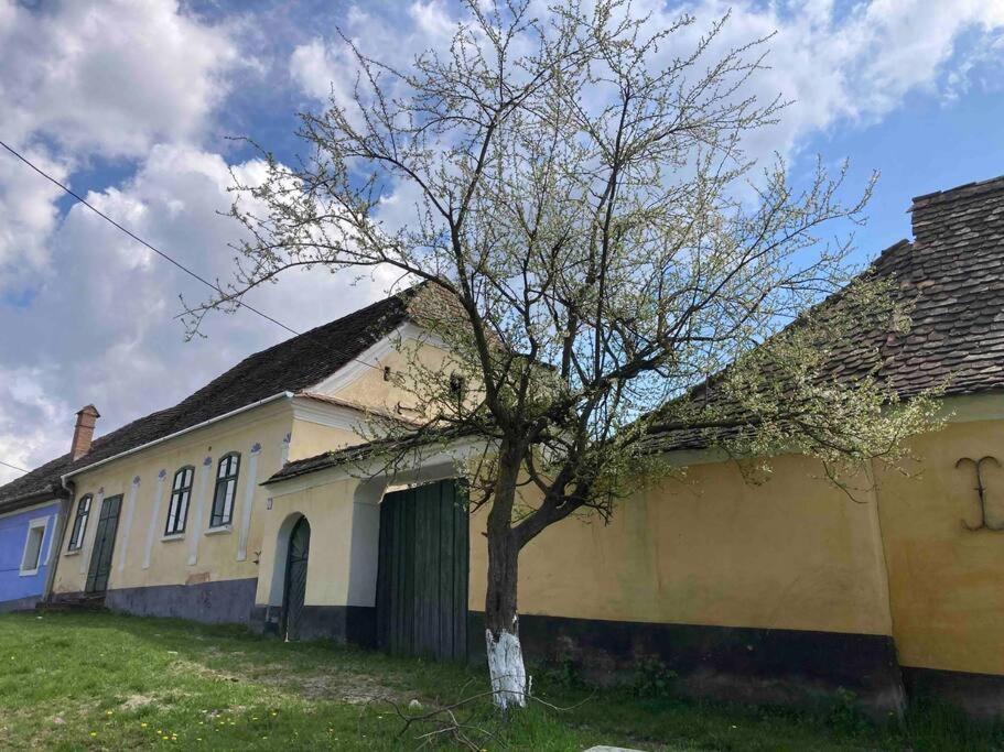 House By The Church - Entire House Crit Ngoại thất bức ảnh